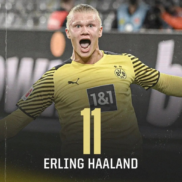 决定资本 决定资本