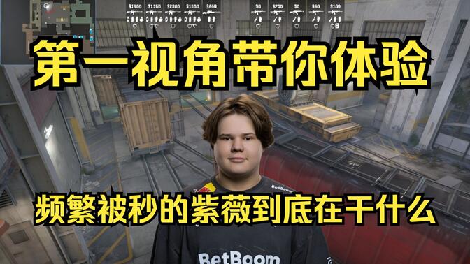 网易海洋R